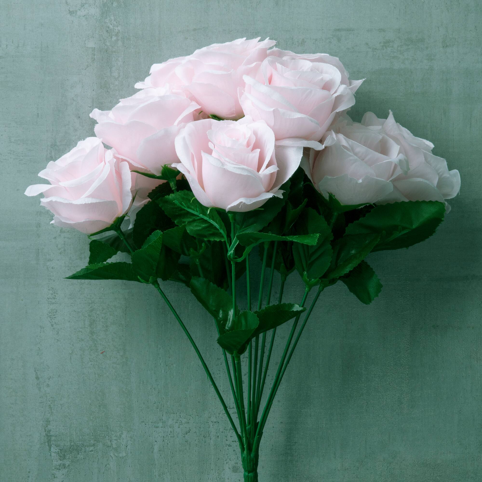 Pink Rose Bush by Ashland